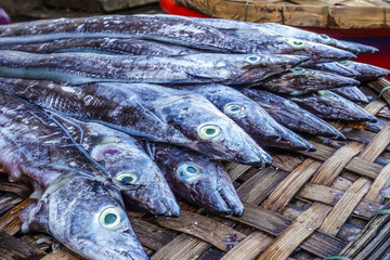 Seafood market. Side and close up view of freshly caught fish on the counter for sale. The fish are laid out on a wicker counter.
