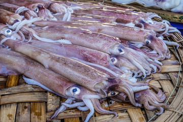 Asian city seafood market. Side and close up view of fresh calamari seafood for sale. The calamari are laid out on a wicker counter.