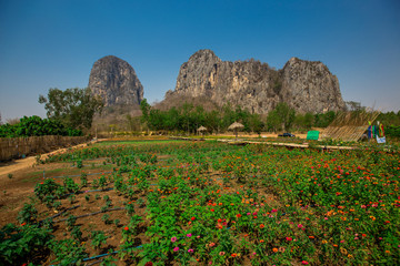 Mee Khao Meerao Cafe-Khao Chakan, Sa Kaeo: February 24,2020, atmosphere, cafes and restaurants in...