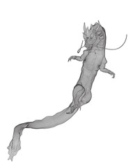 vector long dragon snake isolated on white background in 3d polygon style