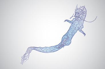 vector long dragon snake isolated on white background in 3d polygon style