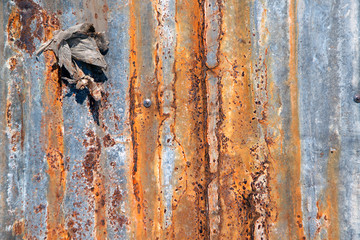 Old zinc sheets texture background, rusty on galvanized metal surface..