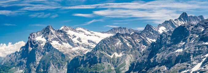 Switzerland, Panoramic view on Grindelwald valley and Wetterhorn and green Alps around