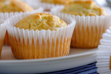 Delicate and delicious lemon cupcakes with crisp on a white plate