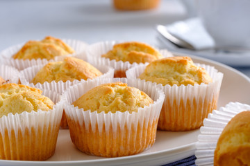 Delicate and delicious lemon cupcakes with crisp on a white plate