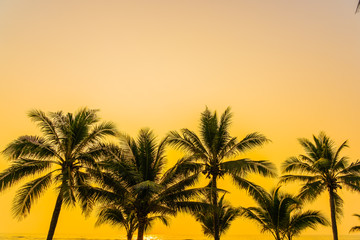 Obraz premium Beautiful nature with palm tree around sea ocean beach at sunset or sunrise