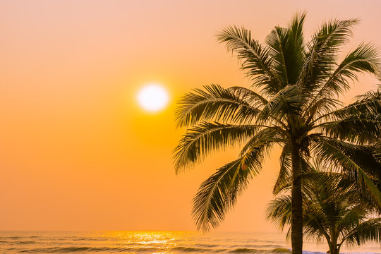 Beautiful nature with palm tree around sea ocean beach at sunset or sunrise