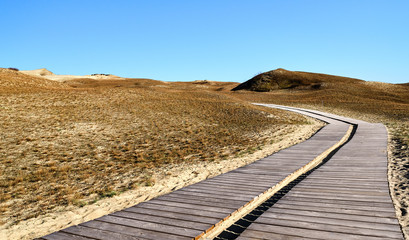 View of nordic sand dunes with wooden pathways on Curonian spit, Nida, Klaipeda, Lithuania