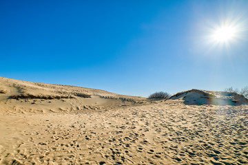 Fototapeta na wymiar View of nordic sand dunes of Curonian spit, Baltic sea, Nida, Klaipeda, Lithuania against low sun