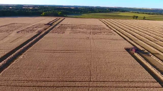 Spectacular aerial drone view on modern huge new industrial combiner machine truck harvesting crops on sunset wheat farm