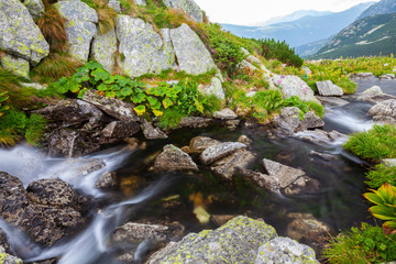 Beautiful alpine scenery in  the Carpathians Mountains in summer