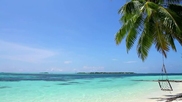 Magnificent steady paradise shot of tropical palm tree in windy white sand luxury beach in turquoise blue ocean seascape