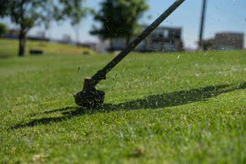Prune grass gardener cutting in the garden with the weed trimmer