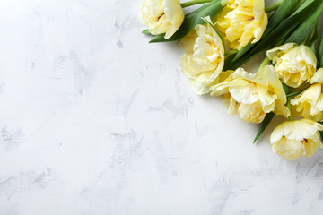Beautiful bunch of tulip flowers on white table top view. Flat lay style. Composition for Woman, Mother day.