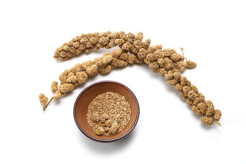 白背景の粟の穂