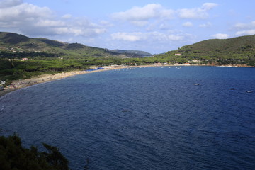 Fototapeta premium Golfo di Lacona, Isola Elba, Toscana con spiaggia, mare e alberi tipici