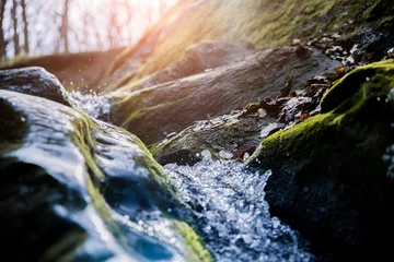 Foto auf Acrylglas Waldfluss Wasser fließt über Felsen