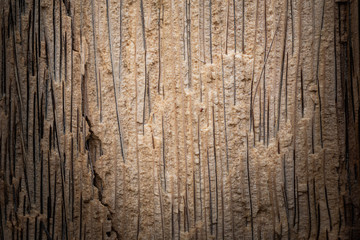Fototapeta premium Wood texture background of wood table for interior exterior decoration and industrial construction design.