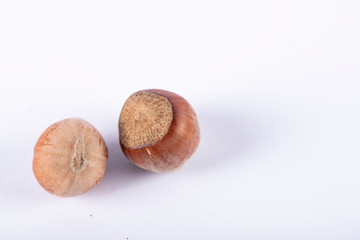 Two brown nuts isolated on white. top view