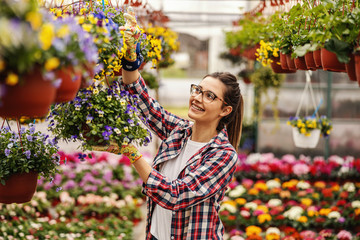 Young smiling female nursery garden worker standing and hanging pot with flowers.