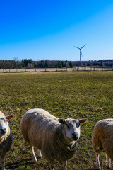Grisslehamn, Sweden A rural landscape with a wind turbine.