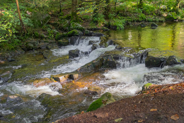 around Vologne river