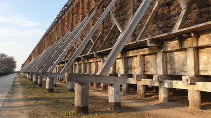 Teznia © Krzysztof Gebarowski