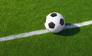 Fototapeta na wymiar Championship football on a sports field
