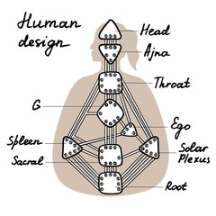 Head, ajna, throat, ego, solar plexus, sacral root spleen g center