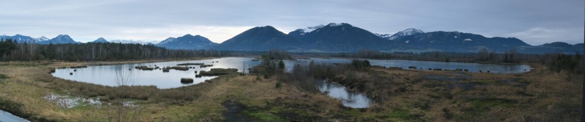Moor bei Bad Feilnbach