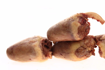 The heart in the white background