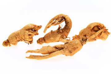 Ginseng on a white background