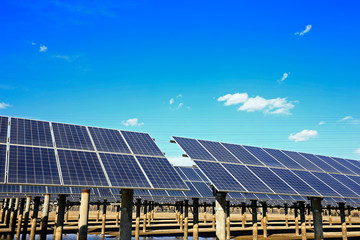 Solar panels on the water