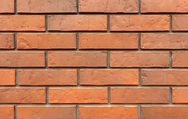 Bricks in the wall of the house.