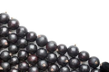 blackcurrant berries on white background. Flat lay view
