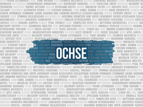 Ochse