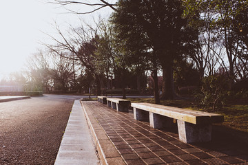 公園のベンチ 日本 東京 横