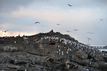 Ushuaia