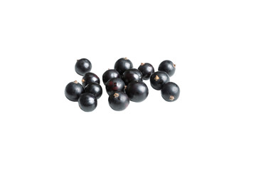 black currant isolated on white background. blackcurran berry.