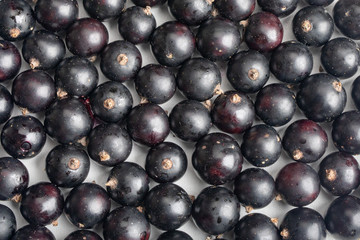 black currant berries close-up, top view. Black berry background