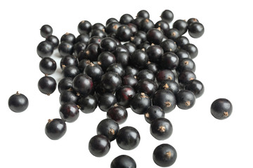 isolated berries. Black currants on white background