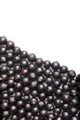 black currant on white background. Top view. Flat lay pattern