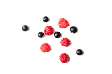 assortment of berries. Sweet raspberries and black currants berry isiolated on white background