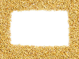 White rectangular copy space on a coriander (Coriandrum sativum) background