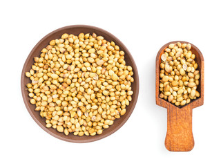 Spice coriander (Coriandrum sativum) in clay plate and scoop, isolated on white. Diet and weight loss concept
