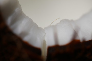 fresh chopped coconut with white tender flesh