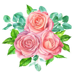 bouquet of light flowers of pink roses and eucalyptus leaves, watercolor illustration, flowers on an isolated white background