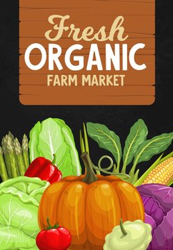 Vegetables, farm market vector poster with natural veggies harvest. Ripe squash and napa cabbage, tomato and pepper, corn, asparagus and pumpkin