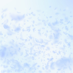 Light blue flower petals falling down. Trending ro