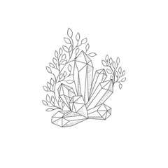 Hand drawn plant branches and Crystal. Greenery design elements. Botanical logos.